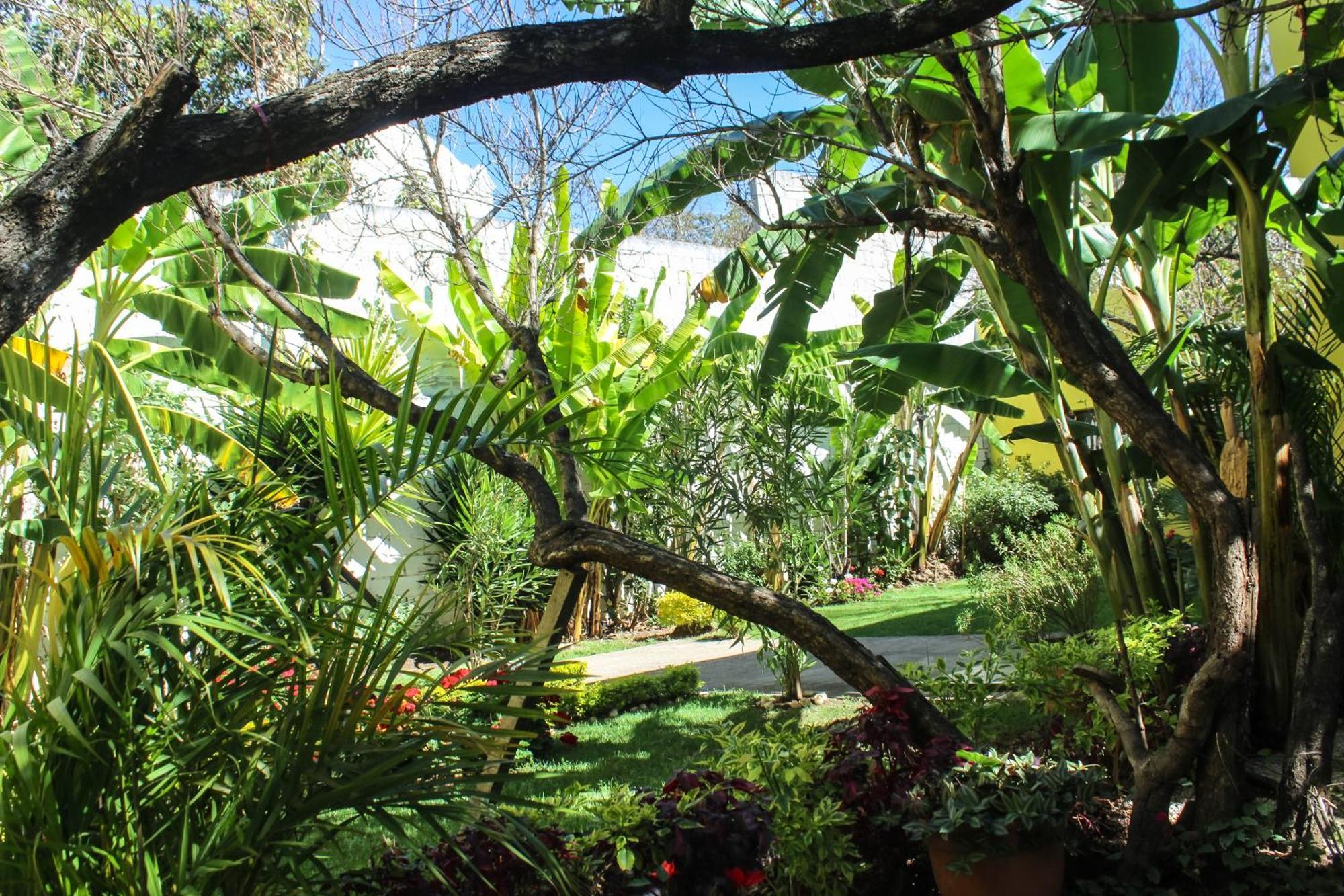 Jardines De Luz Otel San Cristóbal de Las Casas Dış mekan fotoğraf