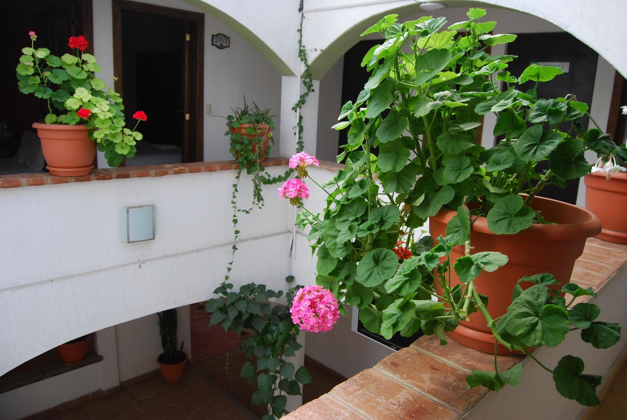 Jardines De Luz Otel San Cristóbal de Las Casas Dış mekan fotoğraf